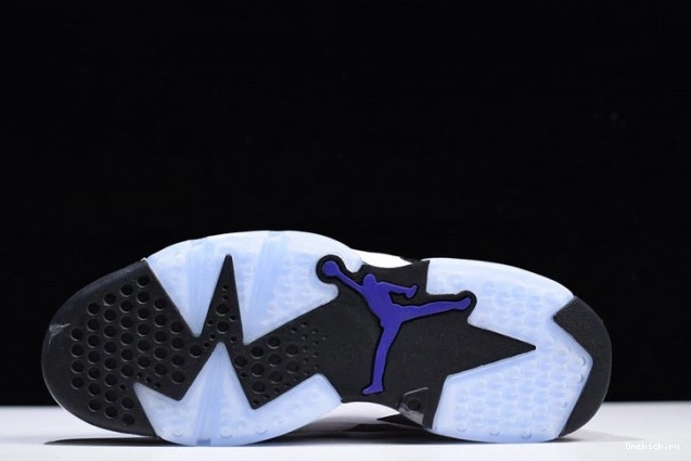 One Kick Jordan 6 CI3125-100 Grey Flint Air 0815